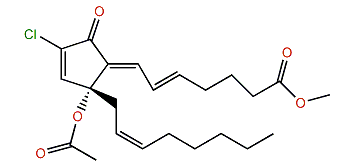 12-O-Acetylchlorovulone II